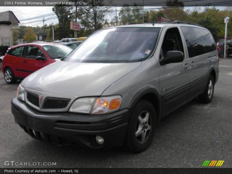 Silvermist Metallic / Gray 2001 Pontiac Montana