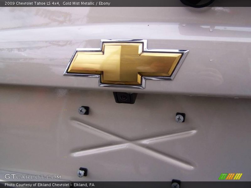 Gold Mist Metallic / Ebony 2009 Chevrolet Tahoe LS 4x4