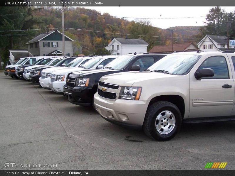 Gold Mist Metallic / Ebony 2009 Chevrolet Tahoe LS 4x4