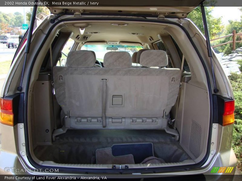 Mesa Beige Metallic / Ivory 2002 Honda Odyssey EX