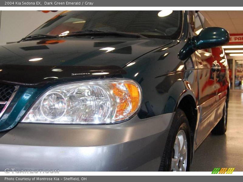 Dark Green Emerald / Gray 2004 Kia Sedona EX