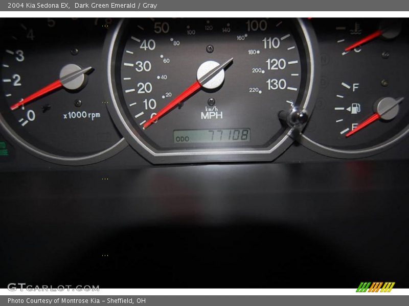 Dark Green Emerald / Gray 2004 Kia Sedona EX