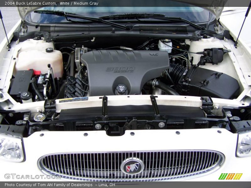 White / Medium Gray 2004 Buick LeSabre Custom