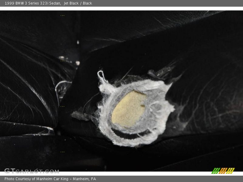 Jet Black / Black 1999 BMW 3 Series 323i Sedan