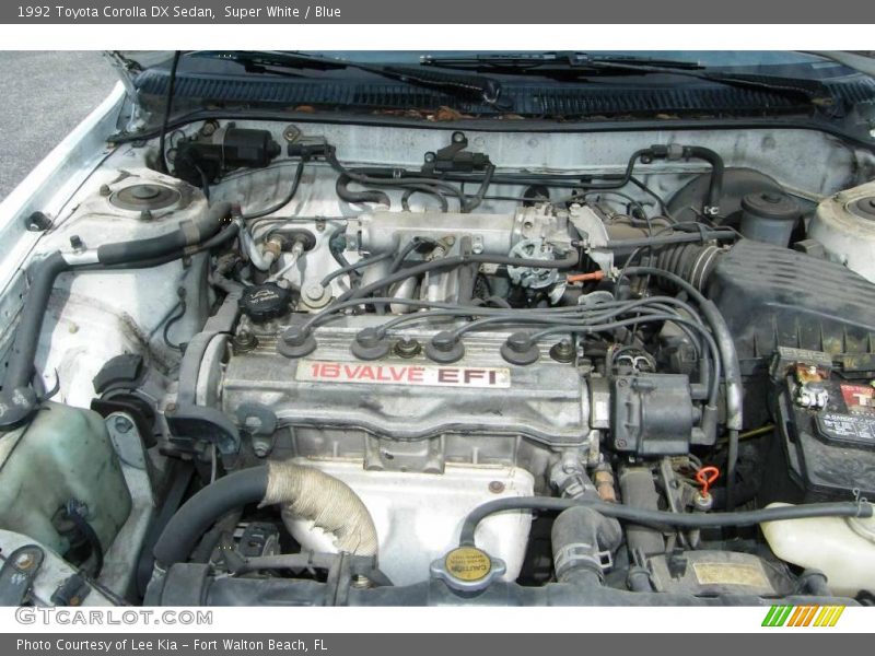 Super White / Blue 1992 Toyota Corolla DX Sedan