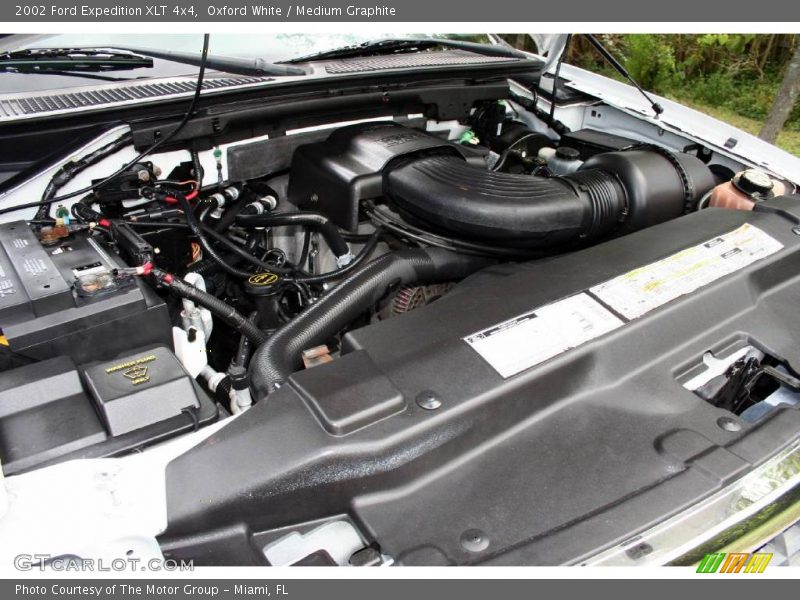 Oxford White / Medium Graphite 2002 Ford Expedition XLT 4x4