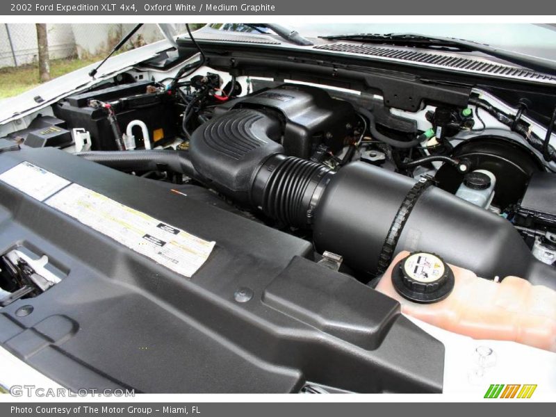 Oxford White / Medium Graphite 2002 Ford Expedition XLT 4x4