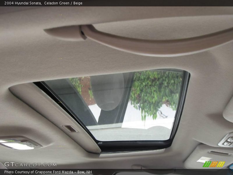 Celadon Green / Beige 2004 Hyundai Sonata