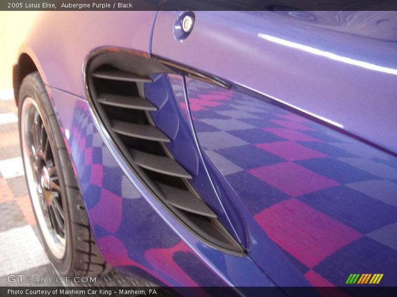  2005 Elise  Aubergine Purple