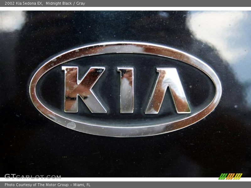 Midnight Black / Gray 2002 Kia Sedona EX