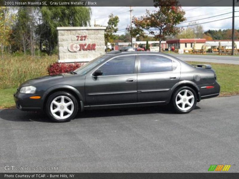 Gray Lustre Metallic / Black 2001 Nissan Maxima SE