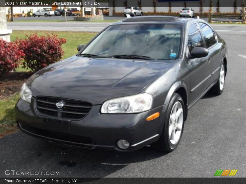 Gray Lustre Metallic / Black 2001 Nissan Maxima SE