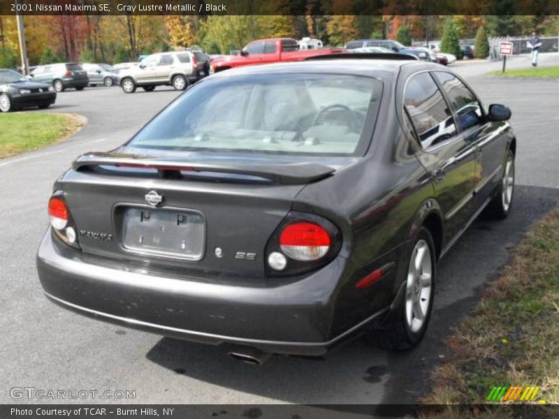 Gray Lustre Metallic / Black 2001 Nissan Maxima SE