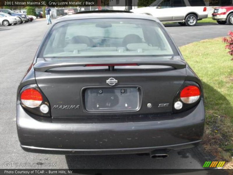 Gray Lustre Metallic / Black 2001 Nissan Maxima SE