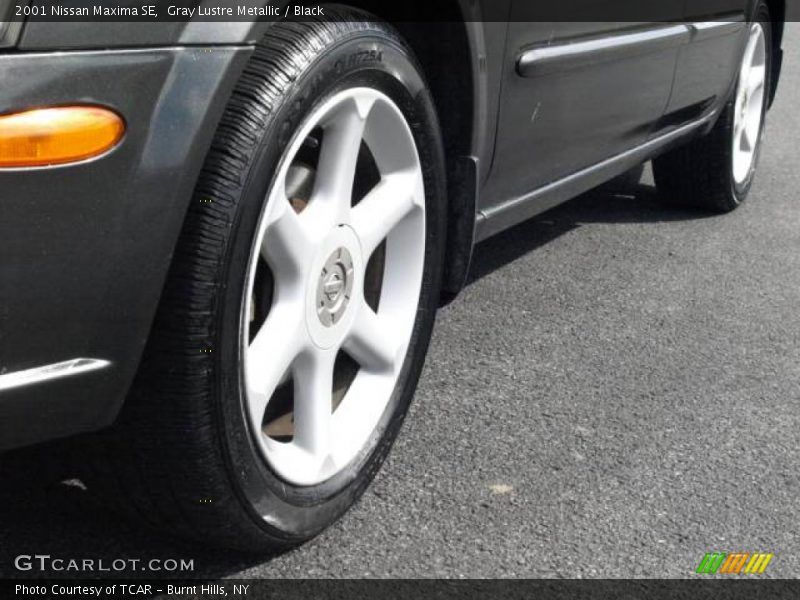 Gray Lustre Metallic / Black 2001 Nissan Maxima SE