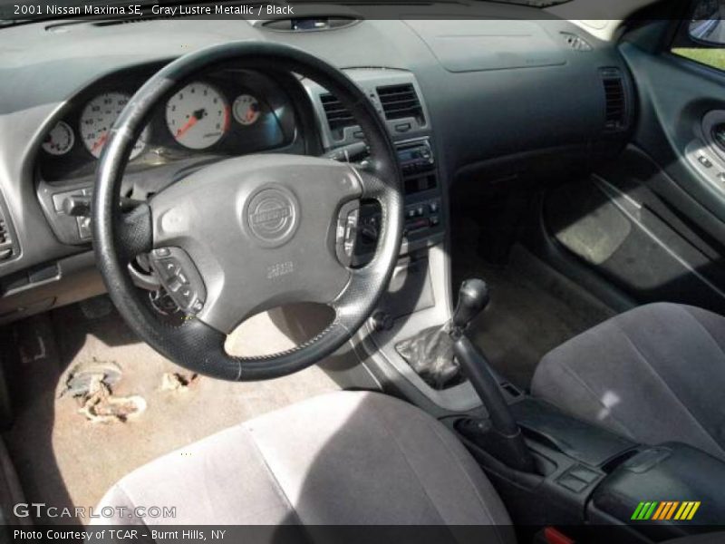 Gray Lustre Metallic / Black 2001 Nissan Maxima SE