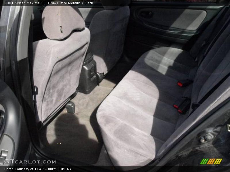 Gray Lustre Metallic / Black 2001 Nissan Maxima SE