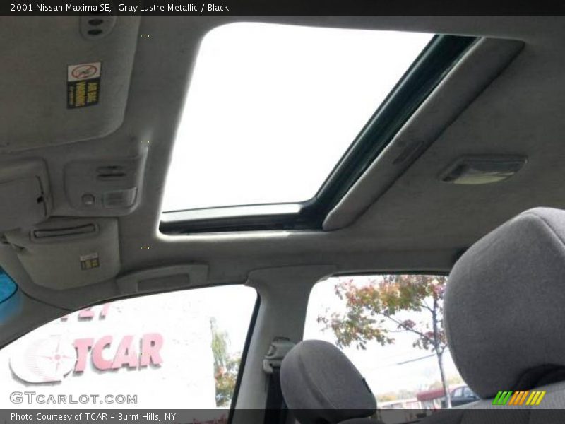 Gray Lustre Metallic / Black 2001 Nissan Maxima SE
