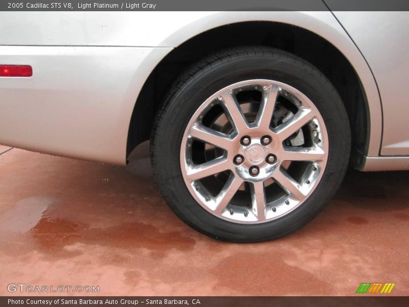 Light Platinum / Light Gray 2005 Cadillac STS V8