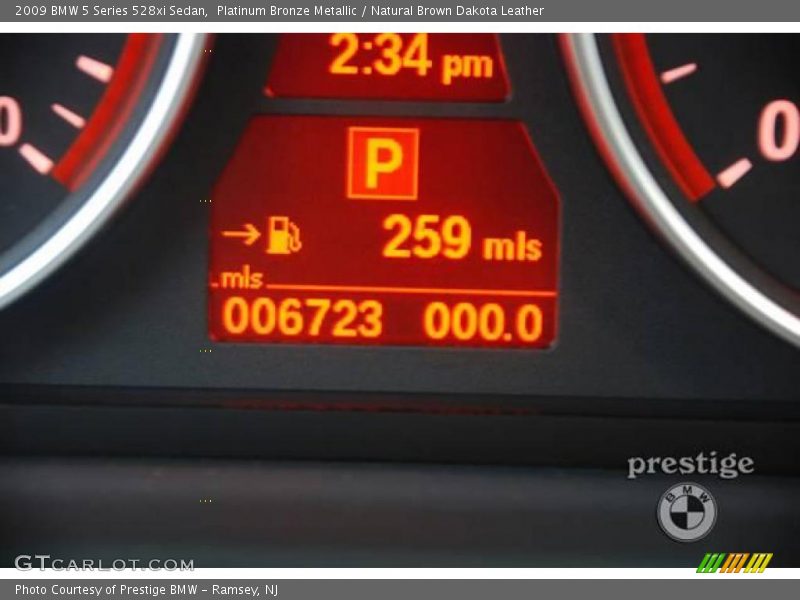 Platinum Bronze Metallic / Natural Brown Dakota Leather 2009 BMW 5 Series 528xi Sedan