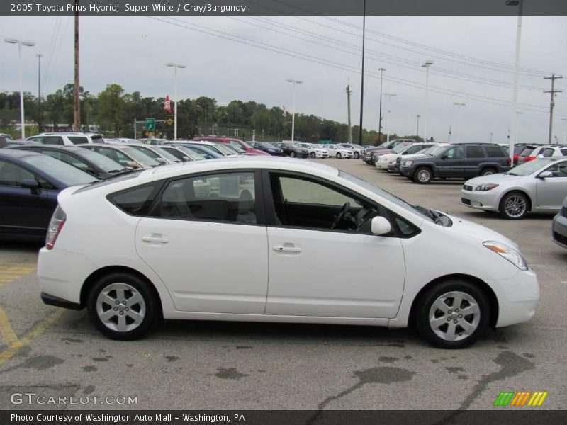 Super White / Gray/Burgundy 2005 Toyota Prius Hybrid