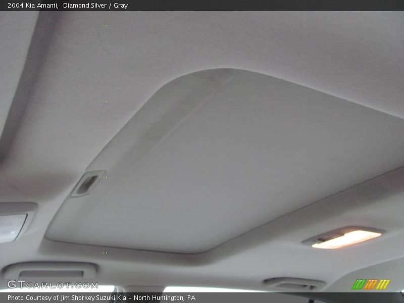 Diamond Silver / Gray 2004 Kia Amanti
