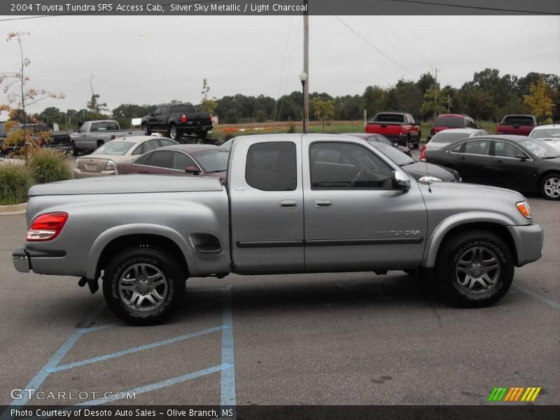 Silver Sky Metallic / Light Charcoal 2004 Toyota Tundra SR5 Access Cab