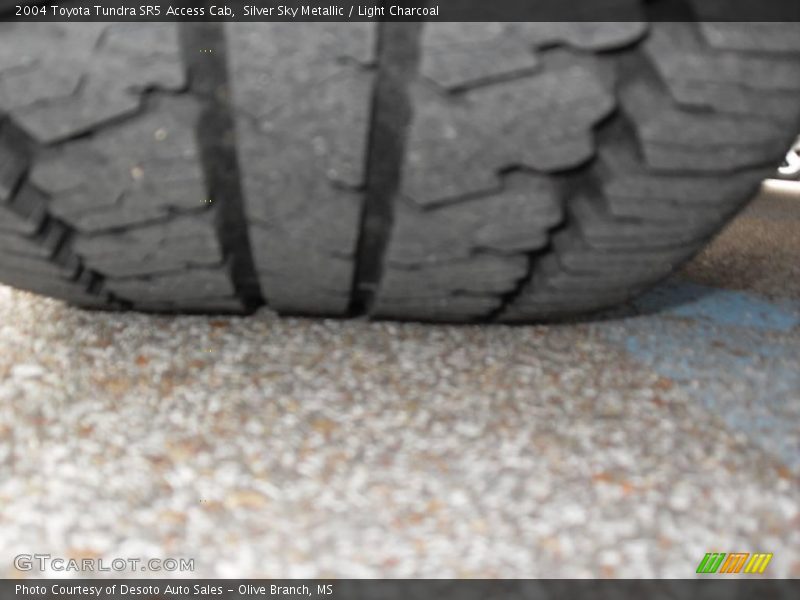 Silver Sky Metallic / Light Charcoal 2004 Toyota Tundra SR5 Access Cab