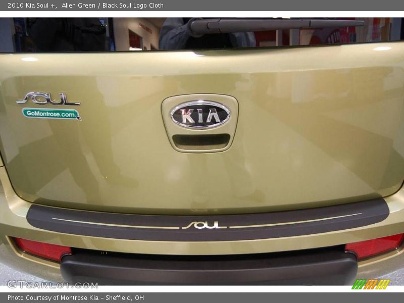 Alien Green / Black Soul Logo Cloth 2010 Kia Soul +