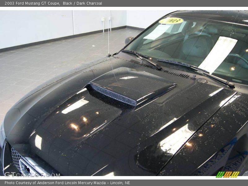 Black / Dark Charcoal 2003 Ford Mustang GT Coupe