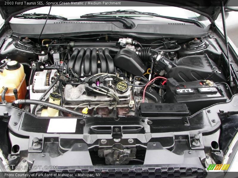 Spruce Green Metallic / Medium Parchment 2003 Ford Taurus SES