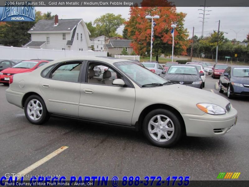 Gold Ash Metallic / Medium/Dark Pebble Beige 2006 Ford Taurus SEL