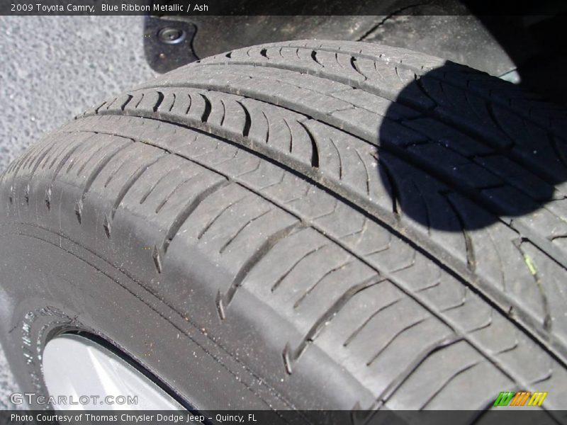 Blue Ribbon Metallic / Ash 2009 Toyota Camry