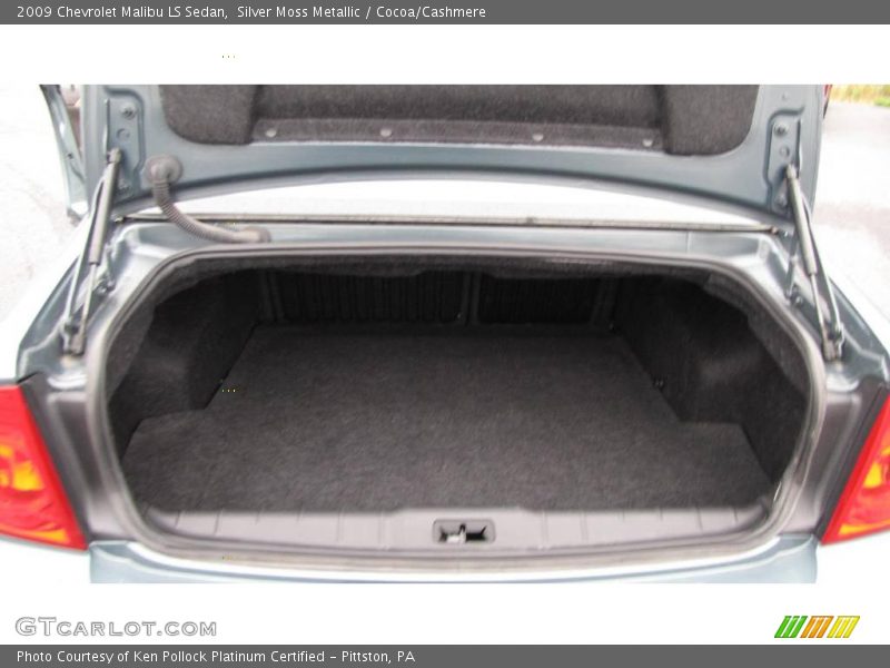 Silver Moss Metallic / Cocoa/Cashmere 2009 Chevrolet Malibu LS Sedan