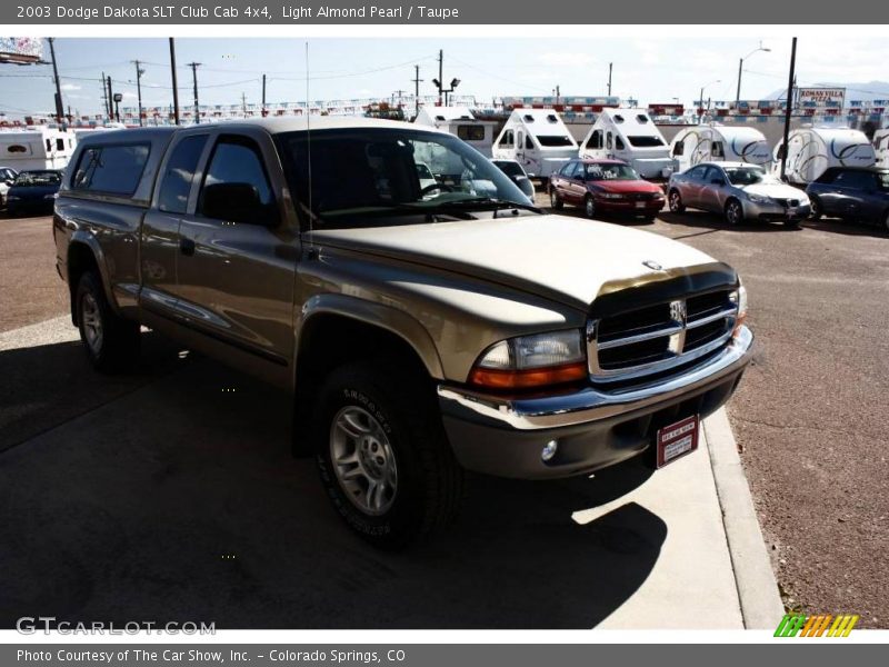 Light Almond Pearl / Taupe 2003 Dodge Dakota SLT Club Cab 4x4