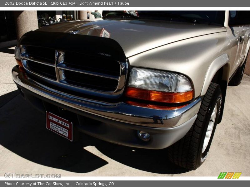 Light Almond Pearl / Taupe 2003 Dodge Dakota SLT Club Cab 4x4