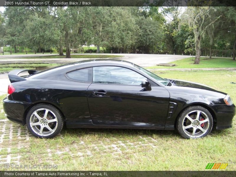 Obsidian Black / Black 2005 Hyundai Tiburon GT