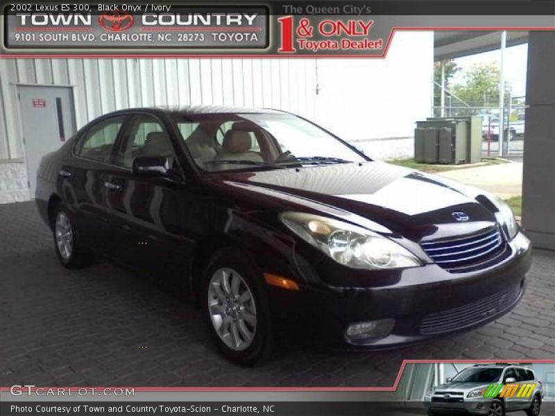 Black Onyx / Ivory 2002 Lexus ES 300