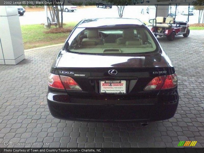 Black Onyx / Ivory 2002 Lexus ES 300
