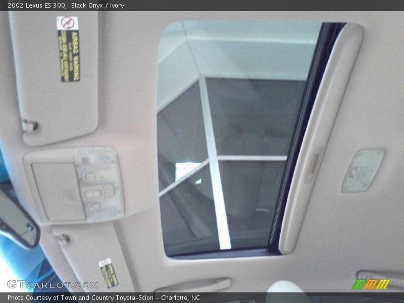 Black Onyx / Ivory 2002 Lexus ES 300