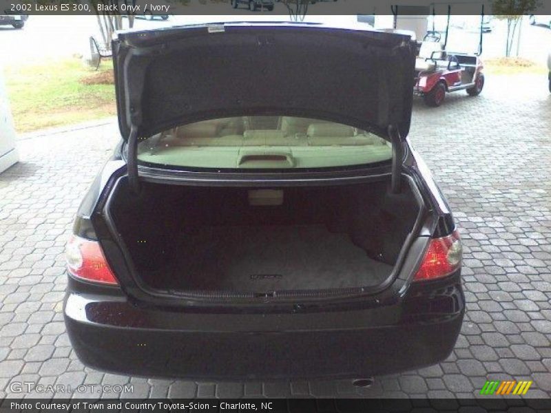 Black Onyx / Ivory 2002 Lexus ES 300