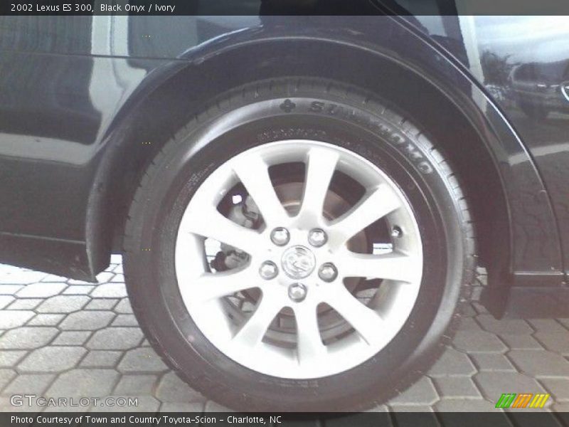 Black Onyx / Ivory 2002 Lexus ES 300