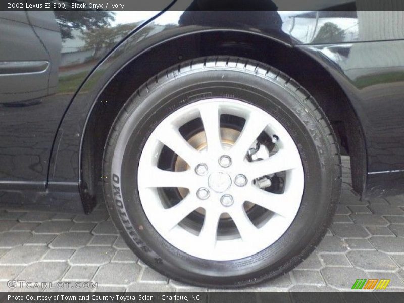 Black Onyx / Ivory 2002 Lexus ES 300