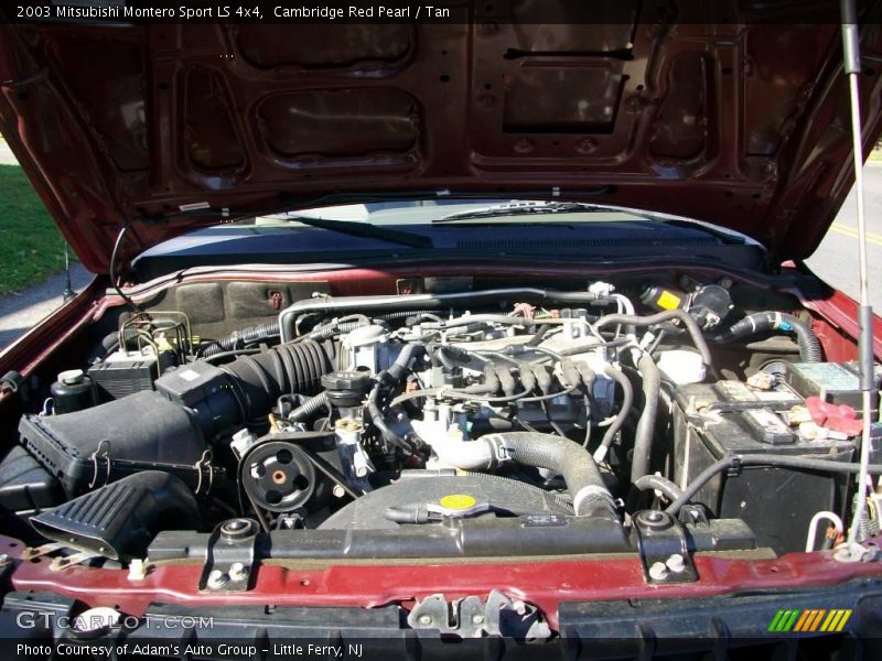 Cambridge Red Pearl / Tan 2003 Mitsubishi Montero Sport LS 4x4