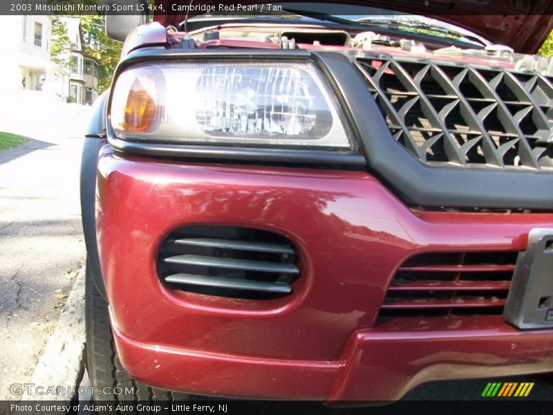 Cambridge Red Pearl / Tan 2003 Mitsubishi Montero Sport LS 4x4