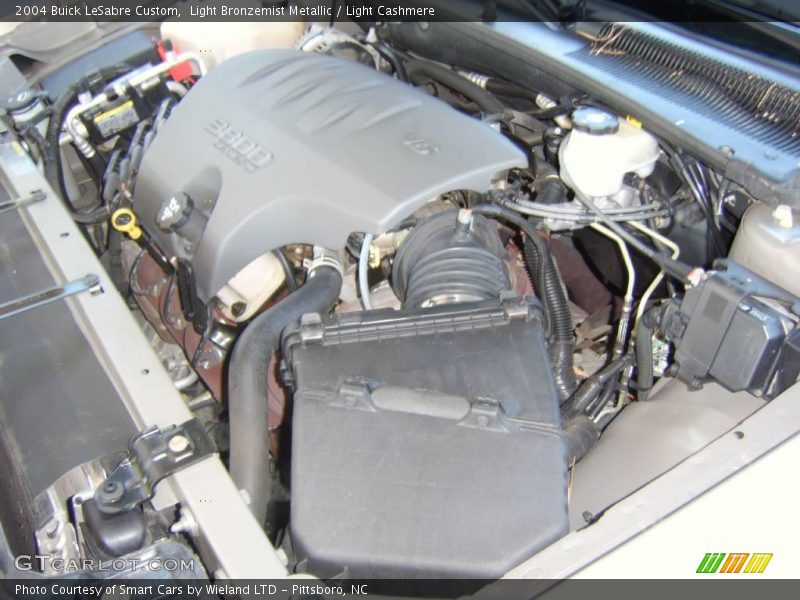 Light Bronzemist Metallic / Light Cashmere 2004 Buick LeSabre Custom
