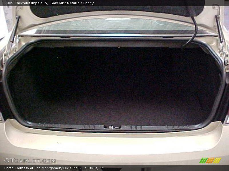 Gold Mist Metallic / Ebony 2009 Chevrolet Impala LS