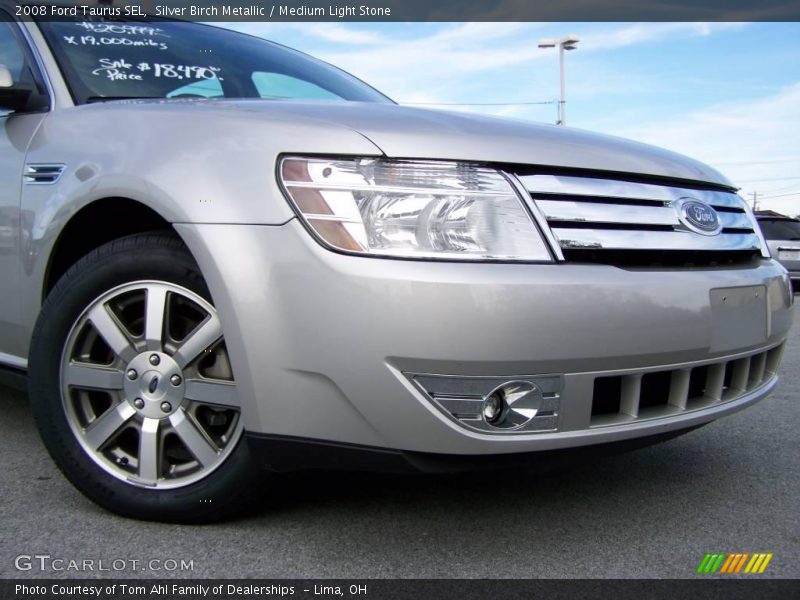 Silver Birch Metallic / Medium Light Stone 2008 Ford Taurus SEL