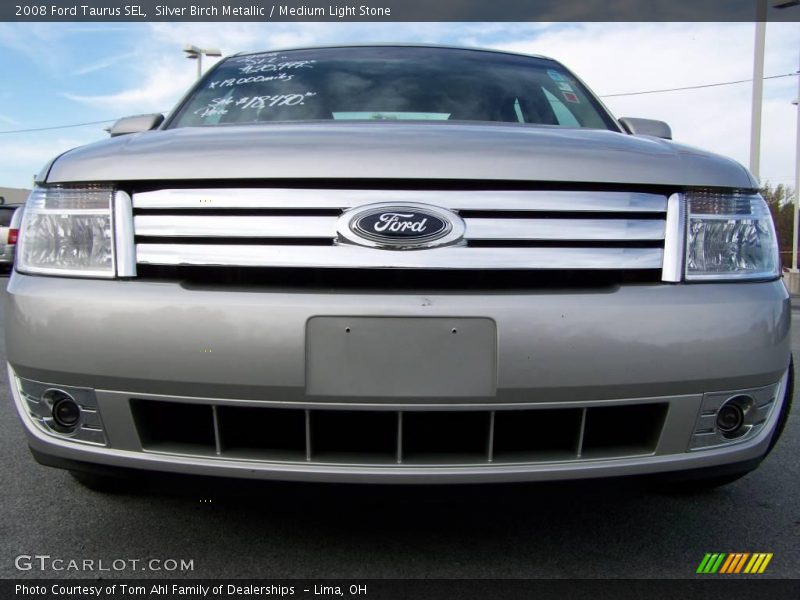 Silver Birch Metallic / Medium Light Stone 2008 Ford Taurus SEL
