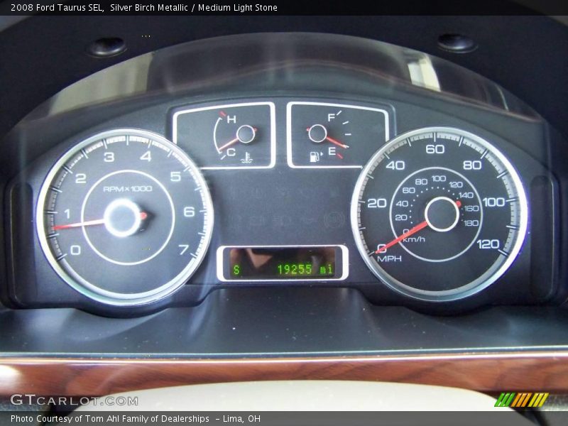 Silver Birch Metallic / Medium Light Stone 2008 Ford Taurus SEL